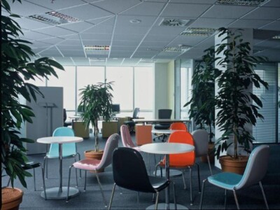 Zentiva a.s., Business Centrum r. 2004